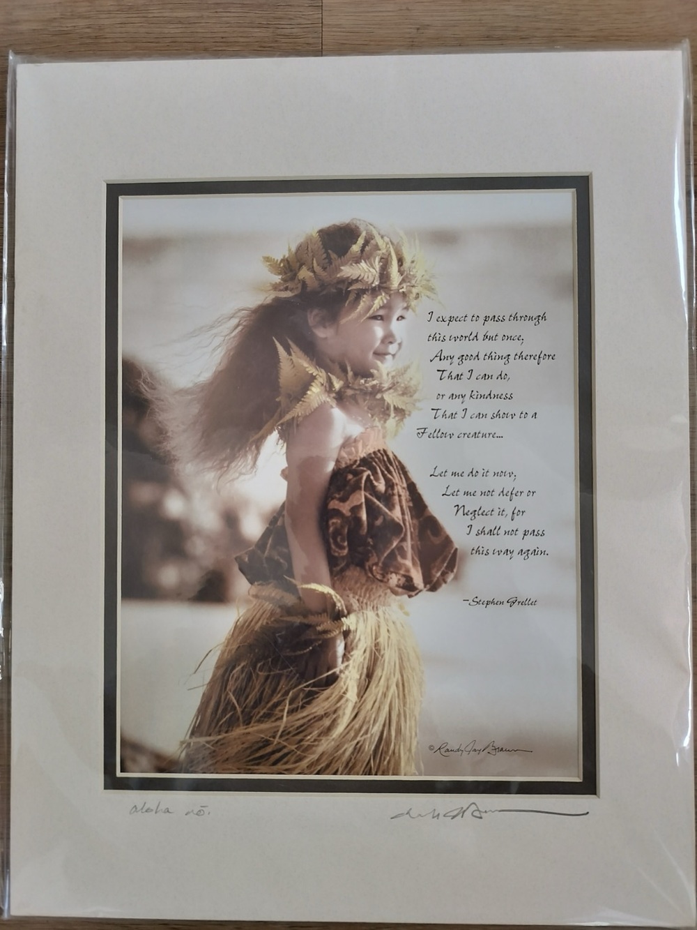 Randy Jay Braun Signed Hawaiian Art Print Pualei O Ka Aina Matted Sealed 11x14